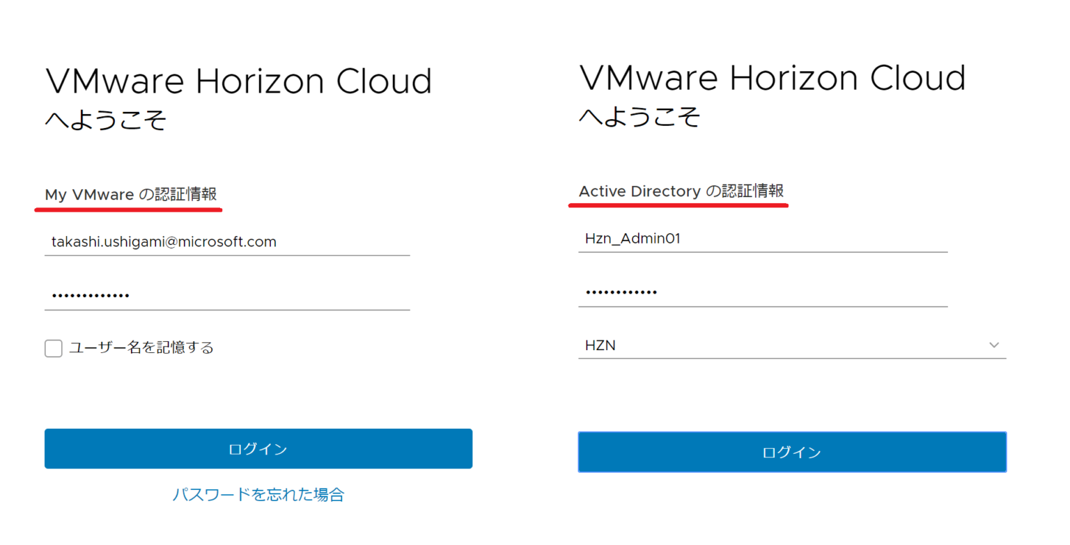horizon cloud with wvd